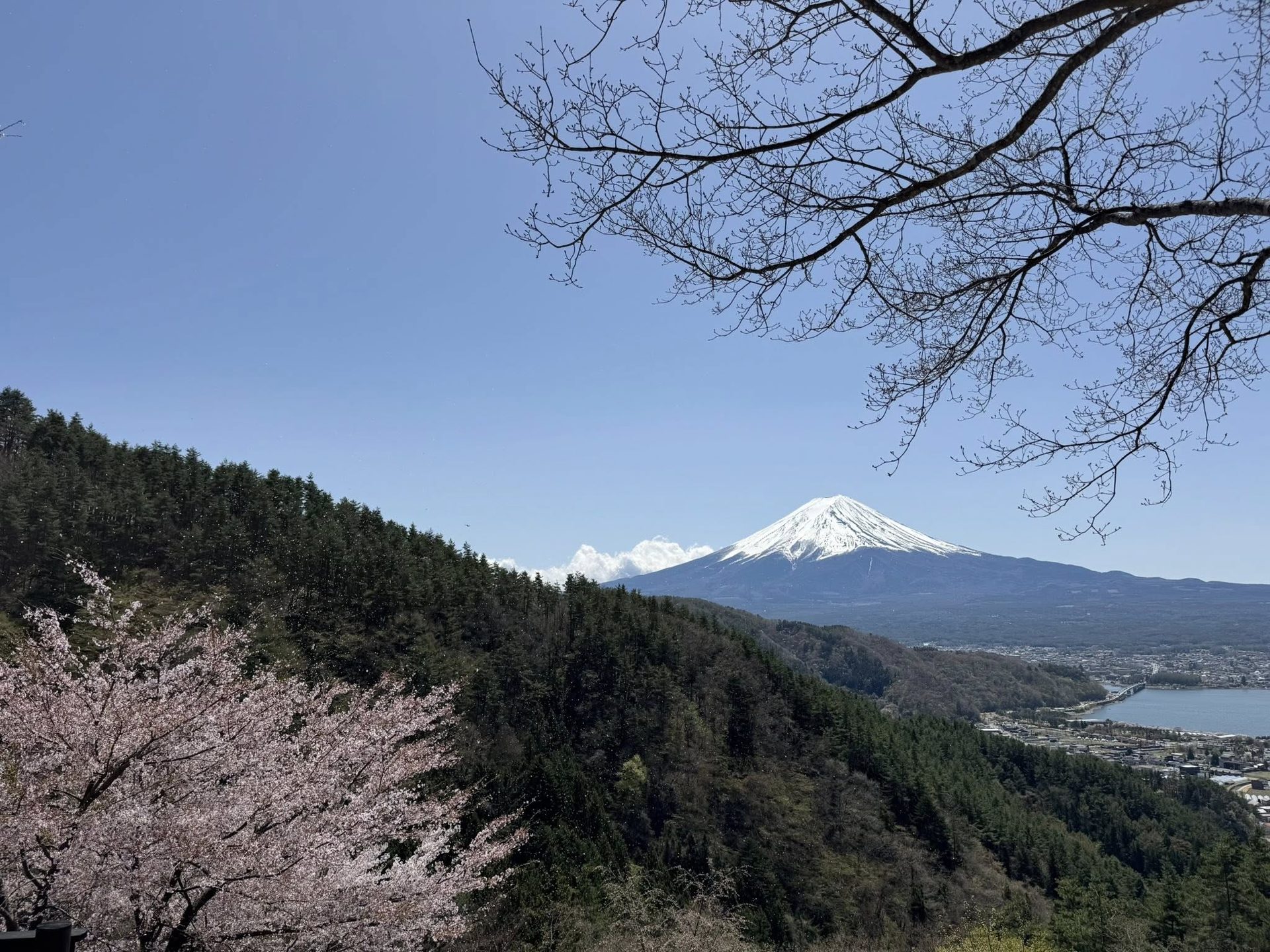 河口湖から望む富士山