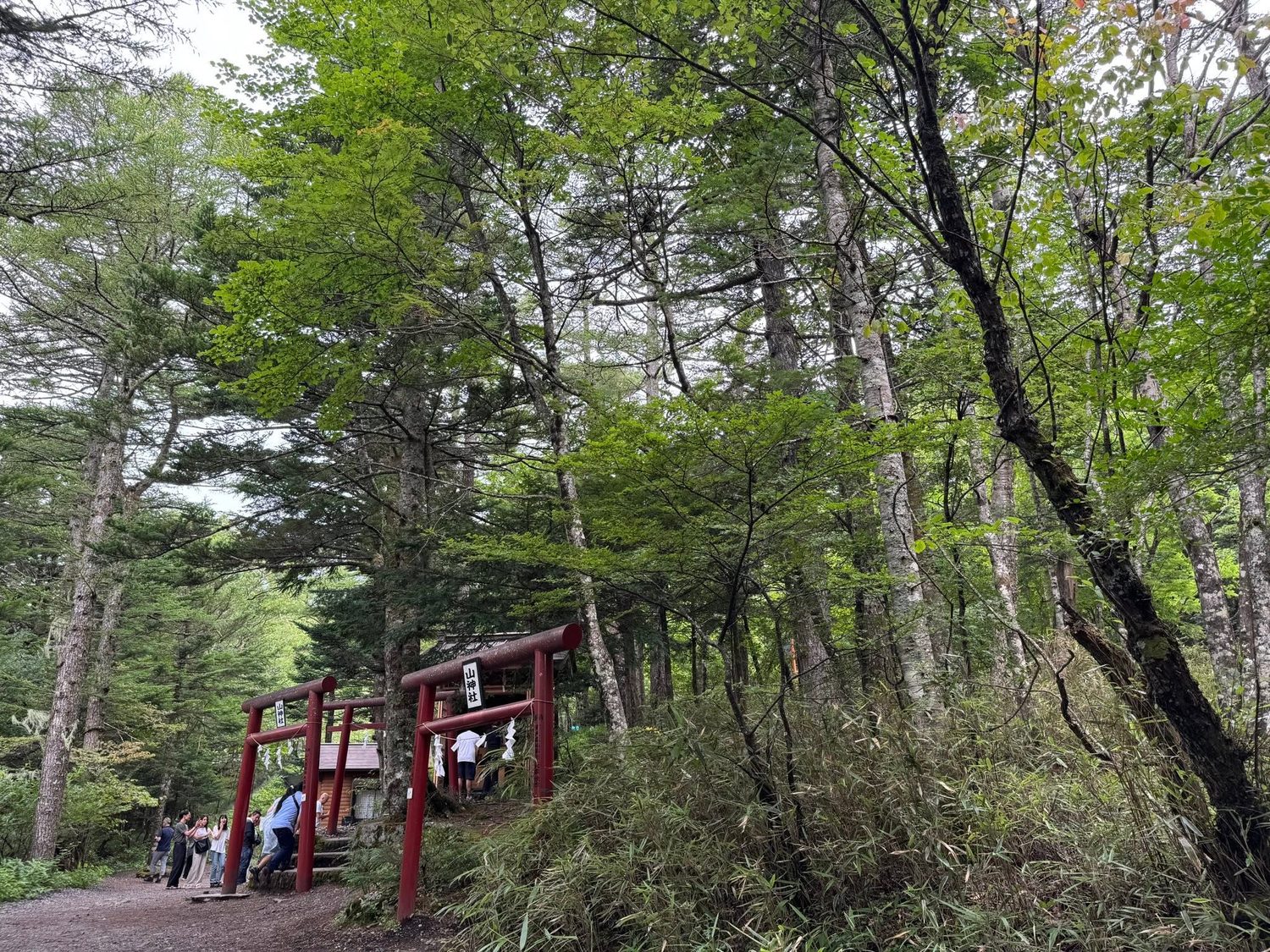 新屋山神社の鳥居